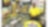Michael's Pennzoil Garage