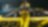 Joey Logano