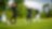 PGA Tour