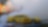 Joey Logano