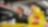 Q&A With Team Penske Engineer, Lauren Sullivan