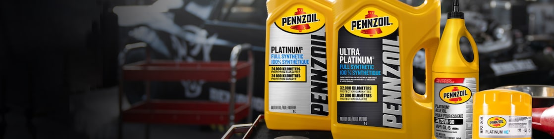 PZ products