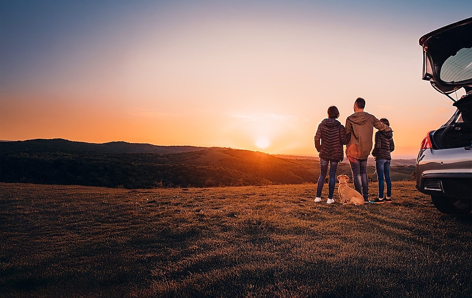 Family watching sunset