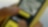 Pennzoil Drives