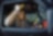 people inside Jeep