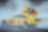 Joey Logano Nascar Victory with Play Button
