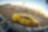 Joey Logano