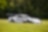 Une voiture de course blanche sur un champ d’herbes